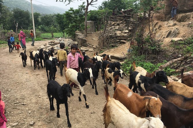 Private Udaipur Village Tour by Tuk-Tuk or by Car