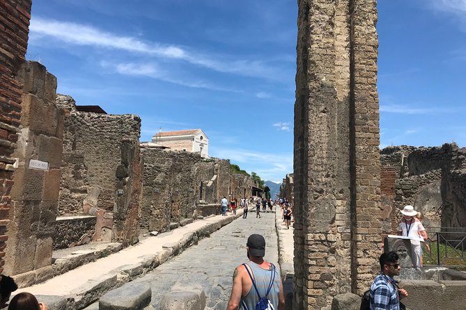 Private VIP Tour to Pompeii Ruins With a Private Guide - Logistics and Pickup Details