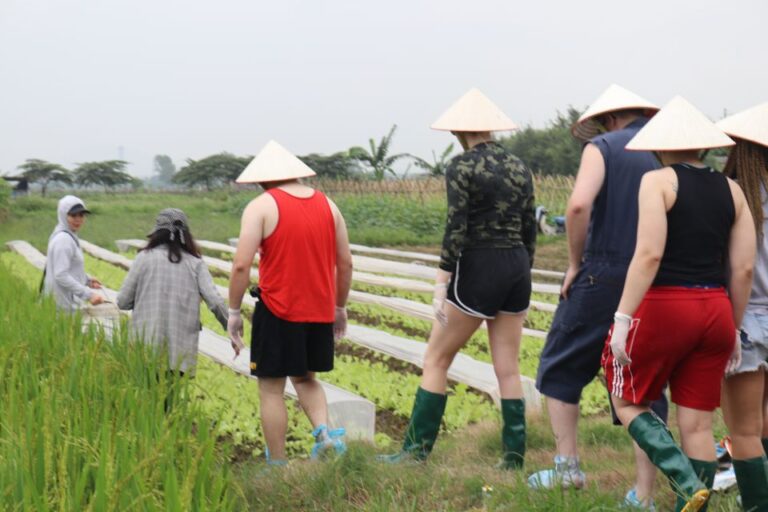 Private Wet Rice Growing Day Tour From Hanoi With Lunch