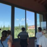 1 private wine tour 2 beautiful wineries and lunch in the heart of bolgheri Private Wine Tour - 2 Beautiful Wineries and Lunch in the Heart of Bolgheri