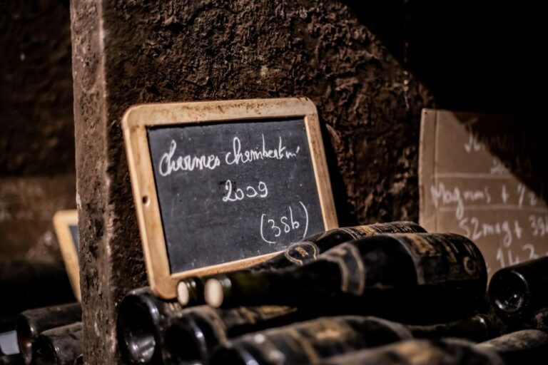 Private Wine Tour in Côte De Nuits and Côte De Beaune