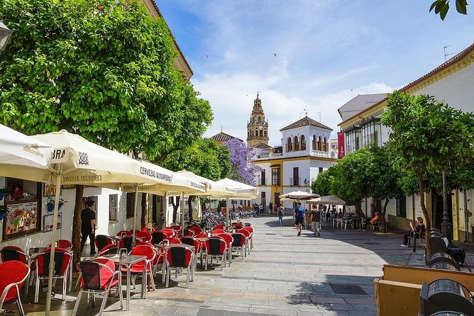 Professional Guides Walking Tours-Cordoba Day&Night (1-2pers)