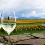 1 progressive wine gourmet trail from blenheim or picton Progressive Wine & Gourmet Trail From Blenheim or Picton
