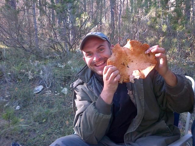 Provence: Mushroom Hunting With Outdoor Breakfast