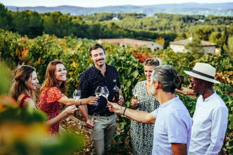 Provence Wine Tour – Small Group Tour From Cannes