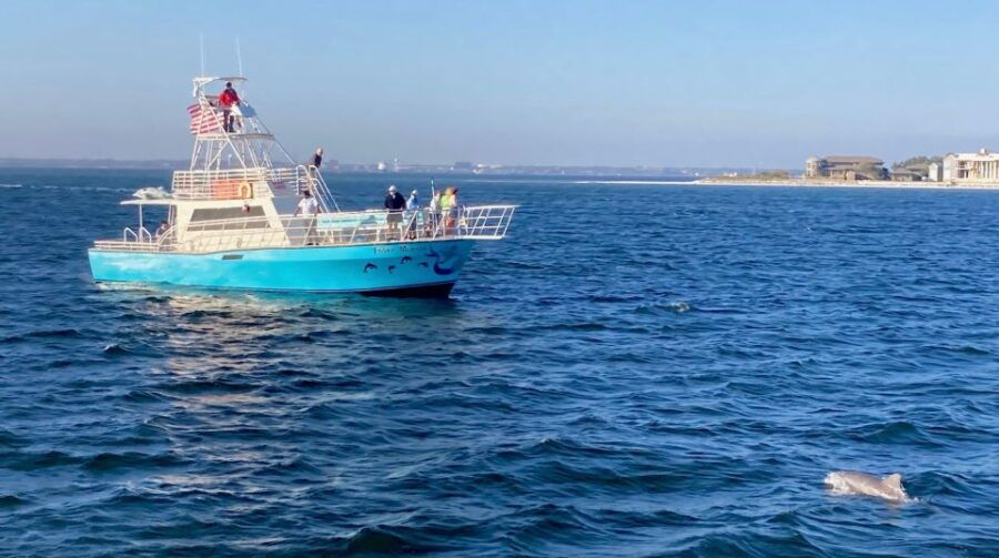 1 public dolphin scenic bay sightseeing cruise pensacola fl Public Dolphin & Scenic Bay Sightseeing Cruise, Pensacola FL