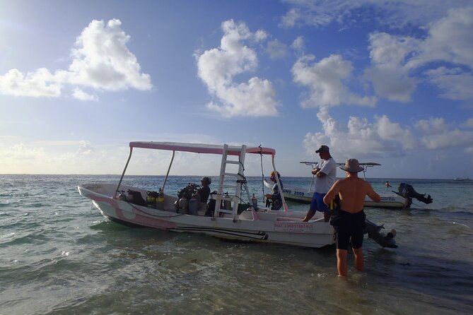 1 puerto morelos reef national park 2 tank scuba dive cancun Puerto Morelos Reef National Park 2-Tank Scuba Dive - Cancun