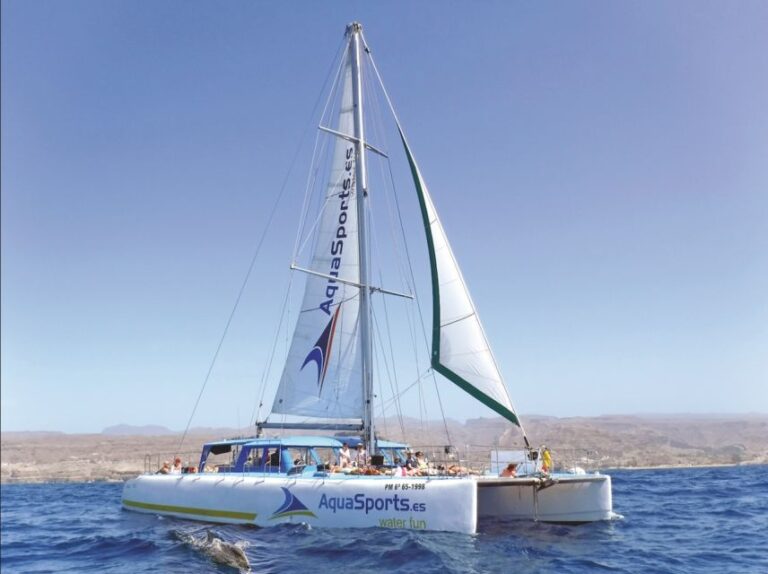 Puerto Rico: 4-Hour Catamaran Excursion in the South