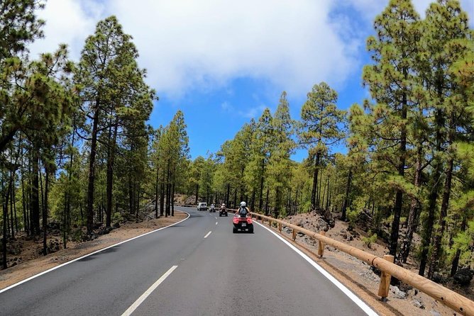 Quad Bike Tour Off-Road Adventure in Teide National Park