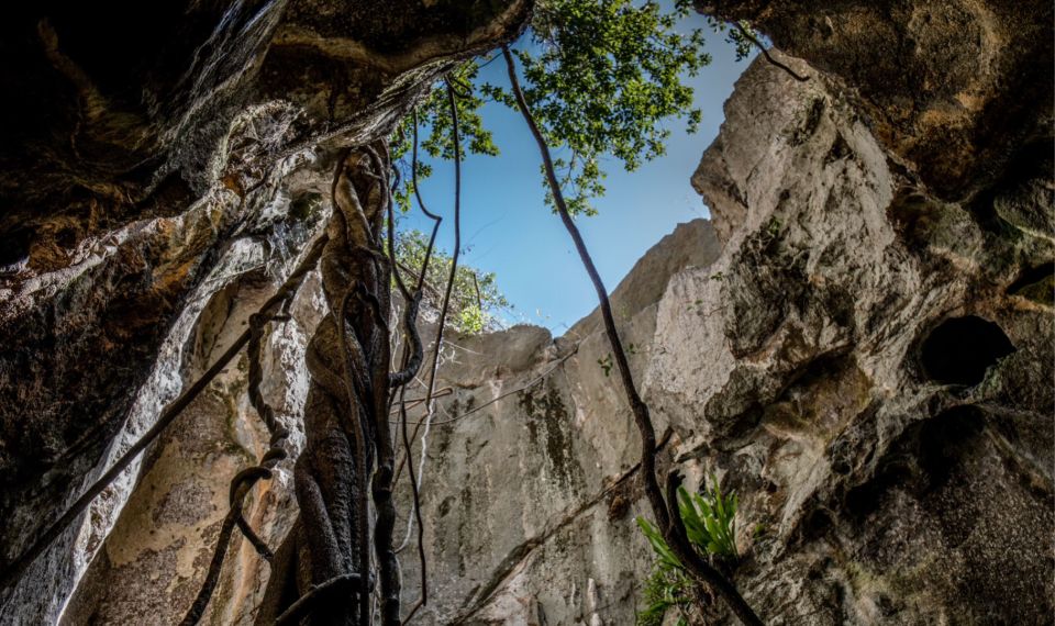 1 queensland 90 minute capricorn caves explorer tour Queensland: 90 Minute Capricorn Caves Explorer Tour