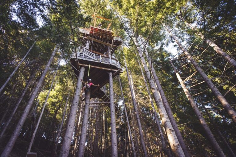 Queenstown: 1-Hour Zipline Tour With 2-Lines & 21-Meter Drop