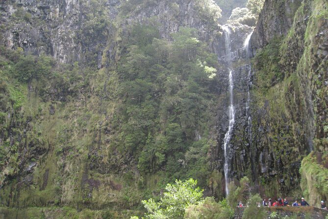 Rabacal Small-Group Half-Day Levada Walk  - Madeira - Meeting Point Details