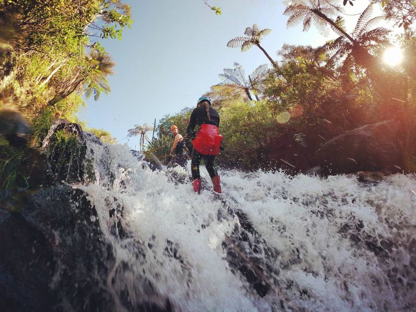 1 raglan karioi canyoning Raglan: Karioi Canyoning