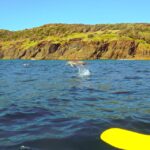 1 rainbow beach kayaking with dolphins and beach 4wd tour Rainbow Beach: Kayaking With Dolphins and Beach 4WD Tour