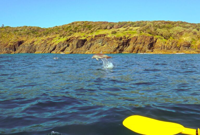 Rainbow Beach: Kayaking With Dolphins and Beach 4WD Tour