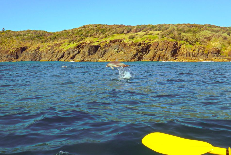 1 rainbow beach kayaking with dolphins and beach 4wd tour Rainbow Beach: Kayaking With Dolphins and Beach 4WD Tour