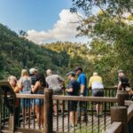1 rainforests and glow worm cave day tour from brisbane Rainforests and Glow Worm Cave: Day Tour From Brisbane