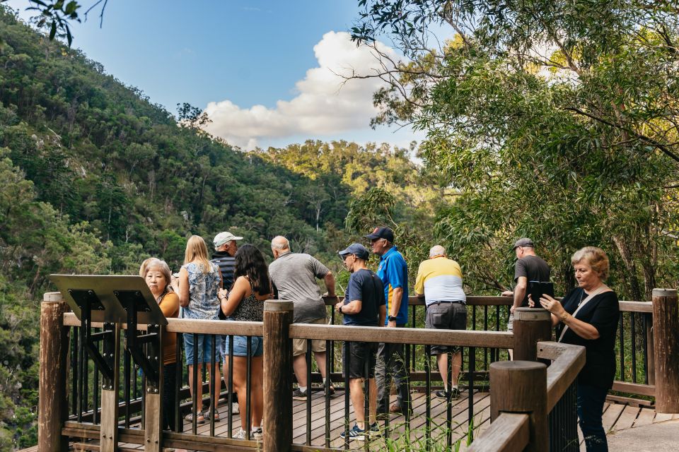 1 rainforests and glow worm cave day tour from brisbane Rainforests and Glow Worm Cave: Day Tour From Brisbane