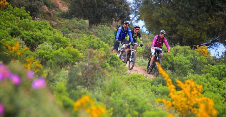 Ramatuelle: Tracks & Tasting Winery Tour by Mountain E-Bike