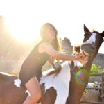1 ranch farm experience and horseback ride la paz Ranch Farm Experience and Horseback Ride - La Paz