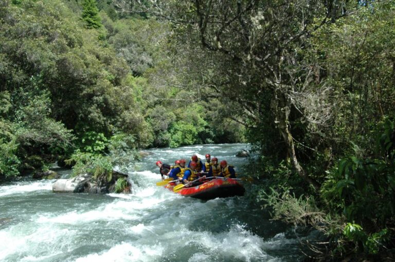 Rangitaiki Rafting Grade 3-4