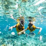 1 reef and shipwreck snorkeling tour in cancun Reef and Shipwreck Snorkeling Tour in Cancun