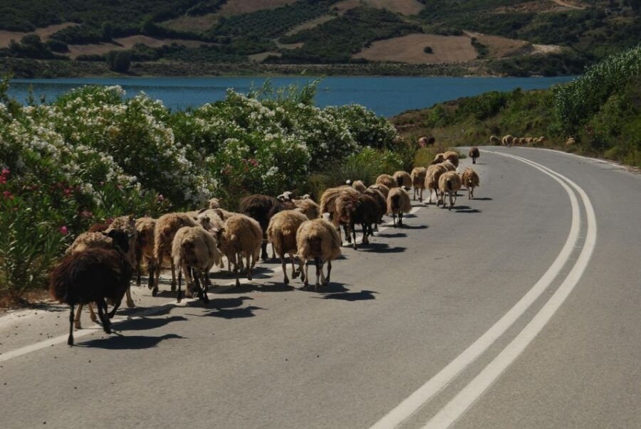 1 rethymno safari tour in private Rethymno | Safari Tour in Private