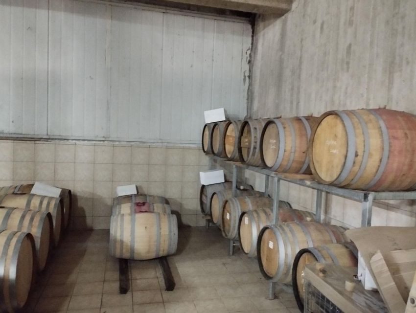 Rethymno Wine Tasting Tour