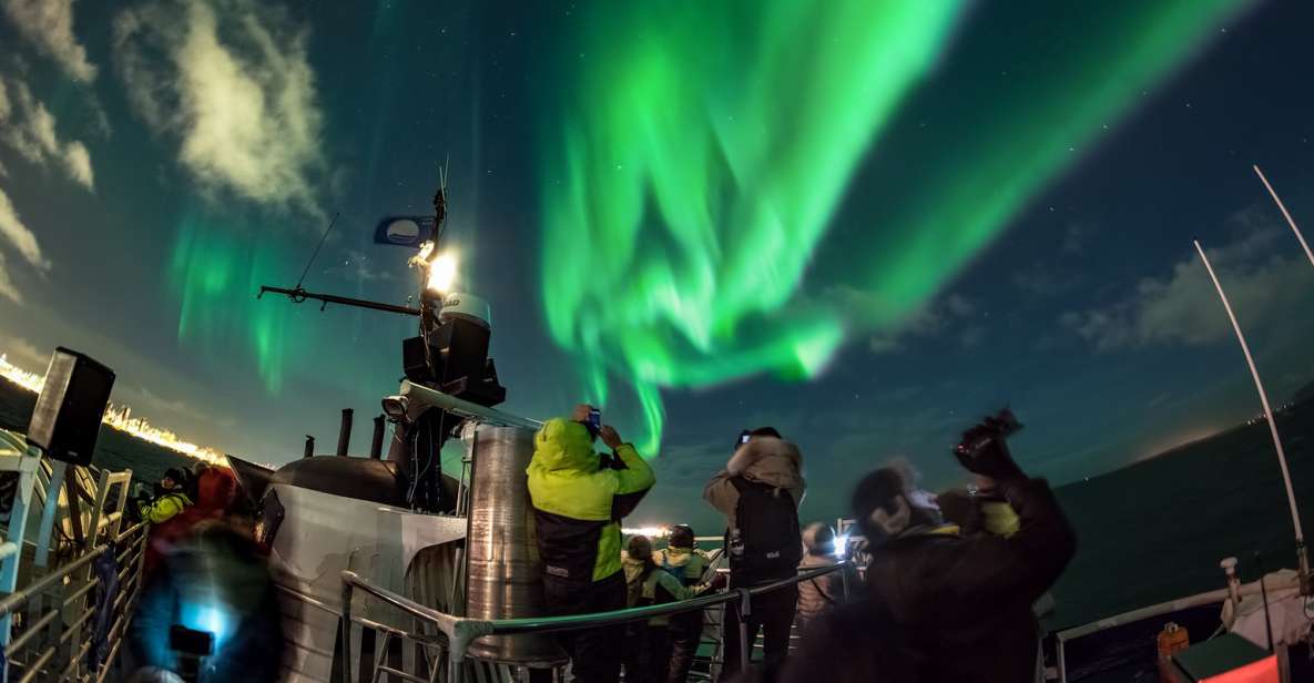 1 reykjavik 2 hour northern lights by boat with backup plan Reykjavik: 2-Hour Northern Lights by Boat With Backup Plan