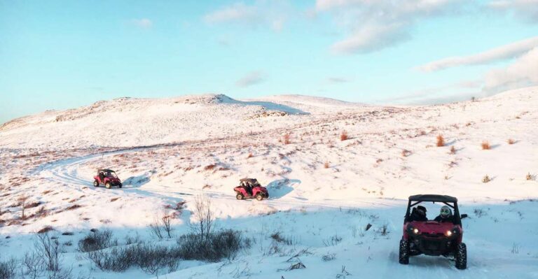 Reykjavik: Buggy Safari Tour With Hotel Transfers