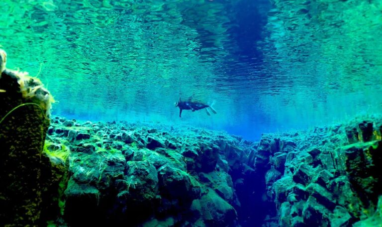 Reykjavik Combo Snorkel in Silfra Fissure & Lava Caving