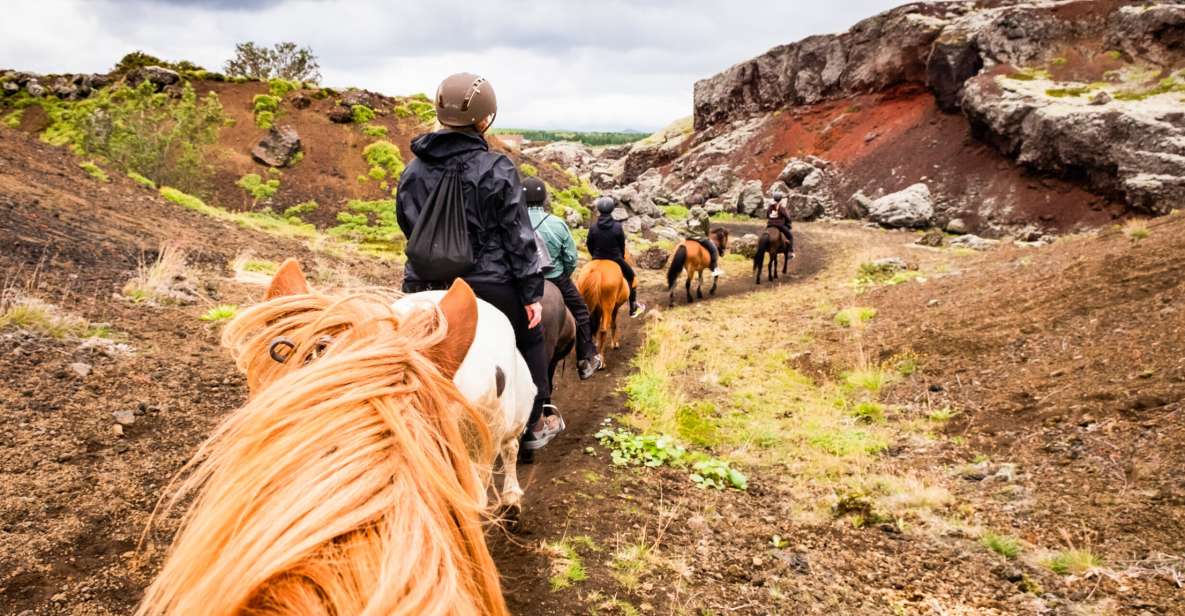 1 reykjavik red lava horse riding tour Reykjavik: Red Lava Horse Riding Tour