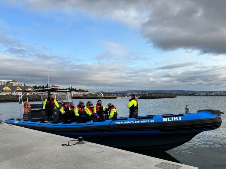 Reykjavik: Whale Watching Adventure From Kopavogur, Iceland