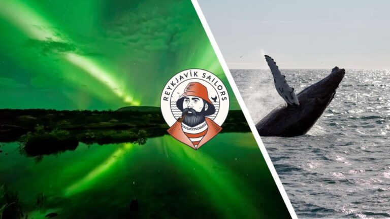 Reykjavik: Whale Watching & Northern Lights Combo Cruise