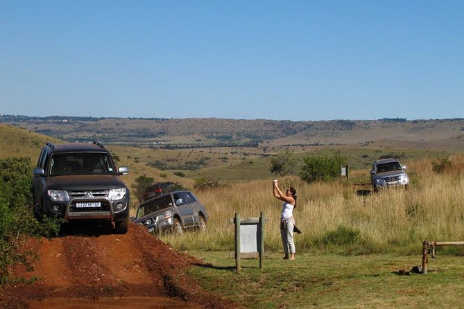 Rhino and Lion Park Guided Closest Safari Reserve to Johannesburg and Pretoria