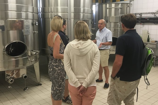 Rhone Wine Lovers Tasting Day Tour From Lyon With Private Driver