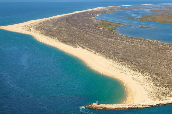 Ria Formosa Natural Reserve Park Day Trip From Albufeira