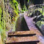 1 ribeira da janela tunnels and waterfalls tour Ribeira Da Janela Tunnels and Waterfalls Tour