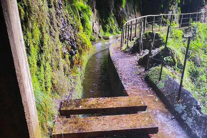 Ribeira Da Janela Tunnels and Waterfalls Tour