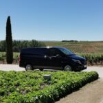 1 ribera del duero 2 wineries tour with winemaker guide Ribera Del Duero 2 Wineries Tour With Winemaker Guide