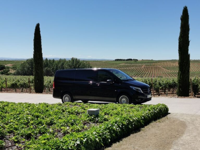 Ribera Del Duero 2 Wineries Tour With Winemaker Guide