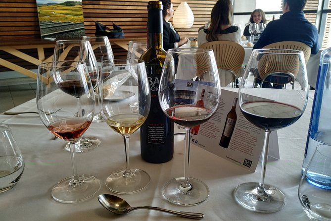 Rioja Wine Country Full-Day Private Wine-Tasting Tour  – San Sebastian