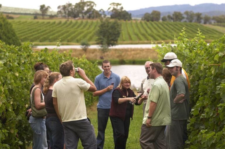 Rioja Winery & Traditional Lunch From Pamplona or Logroño