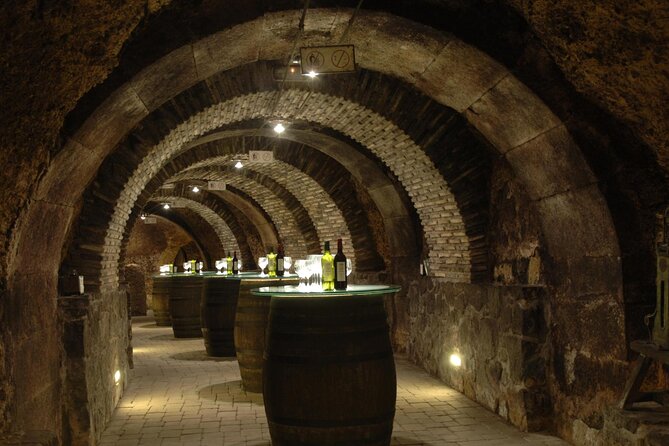 Rioja With Guided Visits to Wineries