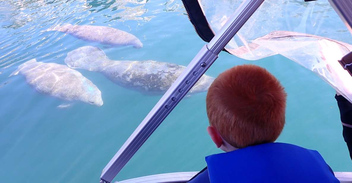 River Cruise With Manatee Viewing