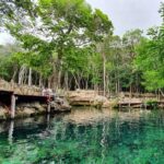 1 riviera maya four cenotes tour from playa del carmen Riviera Maya: Four Cenotes Tour From Playa Del Carmen