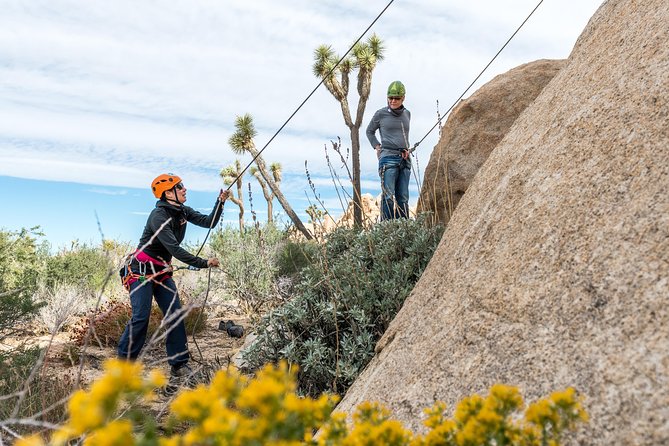 Rock Climbing Trips in Joshua Tree National Park (6 Hours)