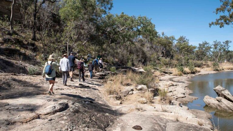 Roma: Lost World Carnarvons and Wallaroo Day Tour