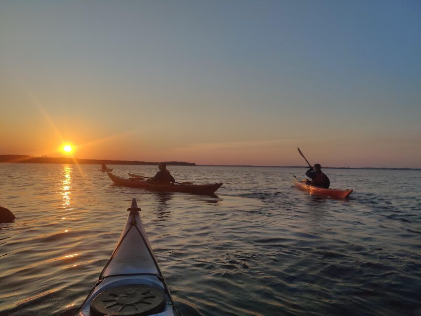 1 roskilde guided kayaking on roskilde fjord sunset tour Roskilde: Guided Kayaking on Roskilde Fjord: Sunset Tour