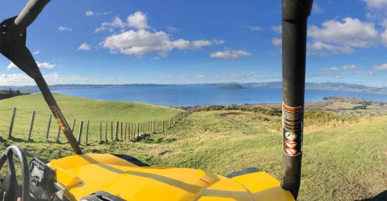 Rotorua: 44 Self Drive Buggy Tour Through Farm and Bushland